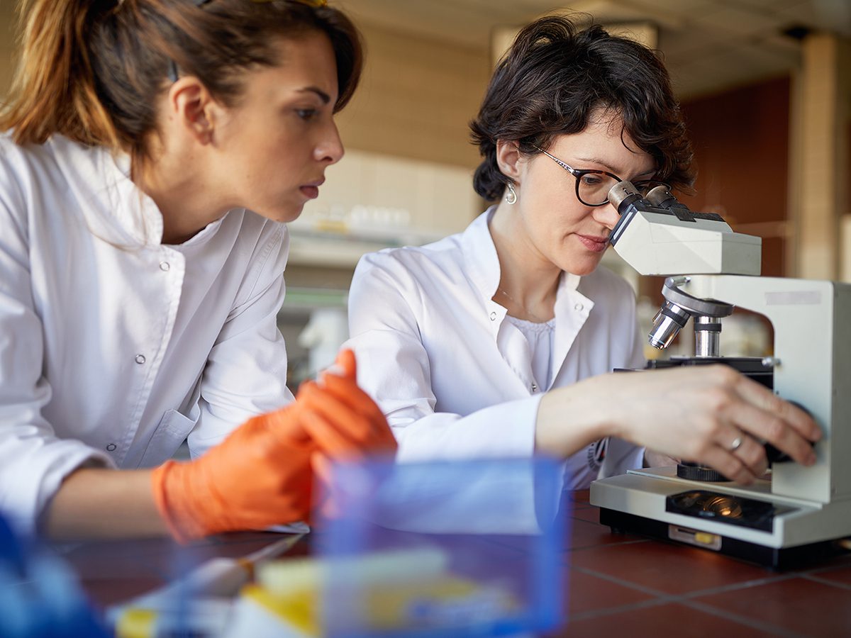 Female colleagues work at the microscope in a working atmosphere at the university laboratory. Science, chemistry, la