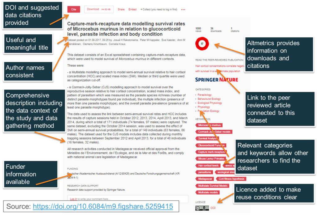 Springer Nature Research Editing Service Author Services From Springer Nature