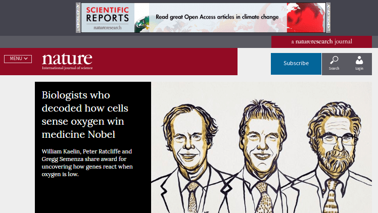 Powerful keyword targeting now available across all Nature Research, SpringerLink, and BMC articles