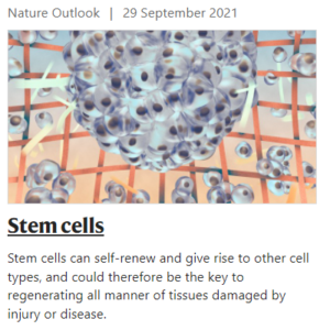 Nature Outlook Stem Cells