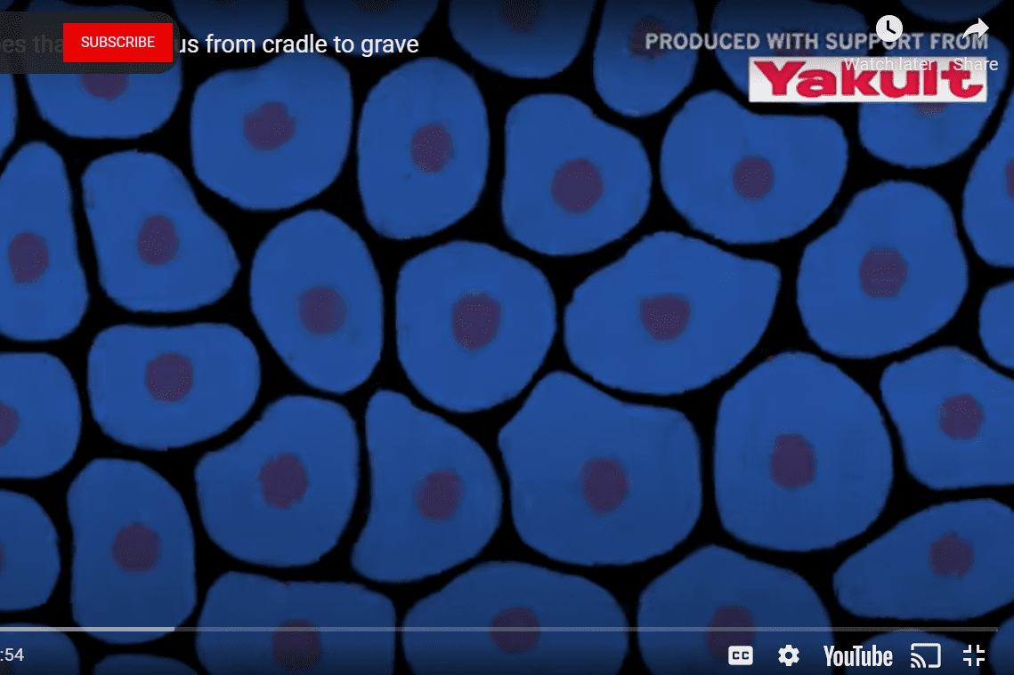 What is sponsored content?