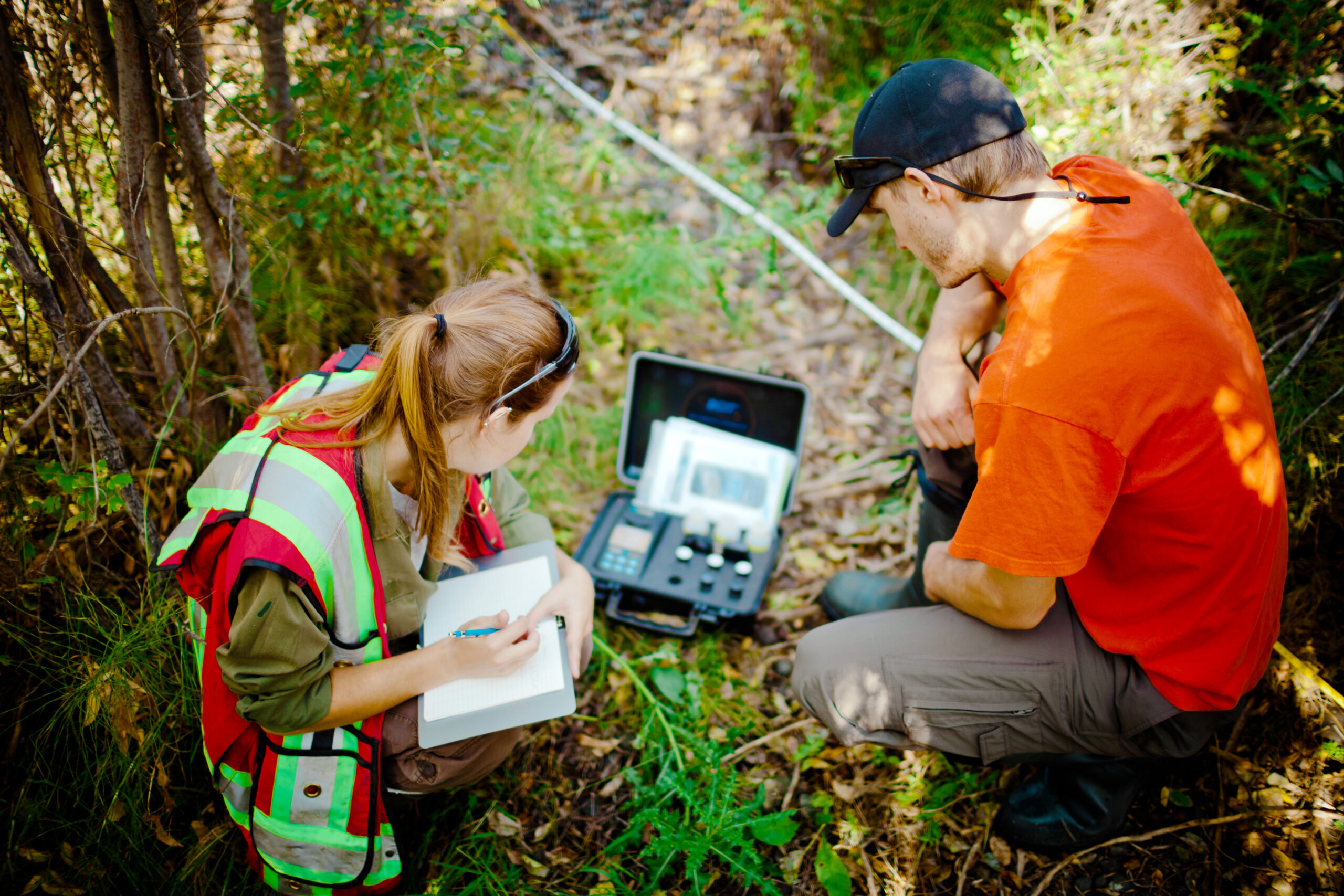 phd training nature