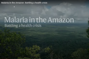 Malaria in the Amazon: Battling a health crisis
