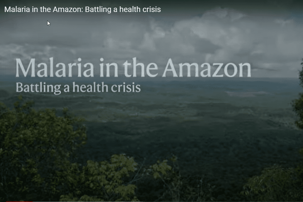 Malaria in the Amazon: Battling a health crisis