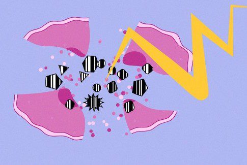 Do cancer vaccines have what it takes?