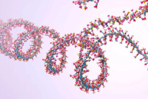 Exploring Circular RNAs: The Challenges and Wonders of RNA's Unique Structure 