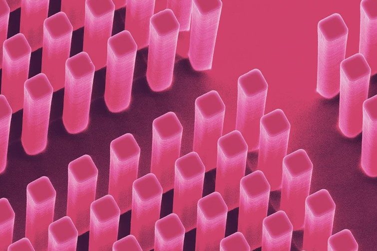 Materials Science: Addressing Climate and Health Challenges
