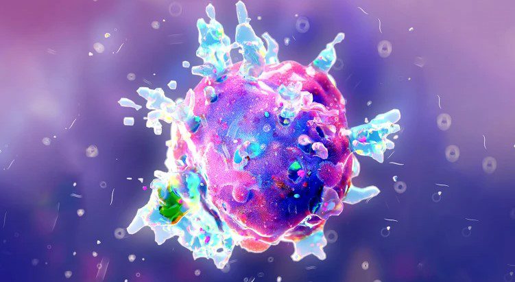 Exploring Cellular Ageing to Combat Age-Related Diseases