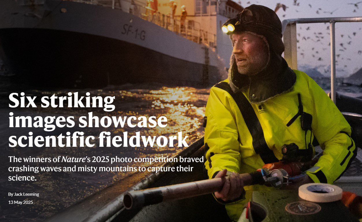 From the arctic to the summit: Celebrating Nature's 2025 #ScientistAtWork winners