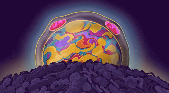 Not all microbes are villains: The comeback of the gut protists