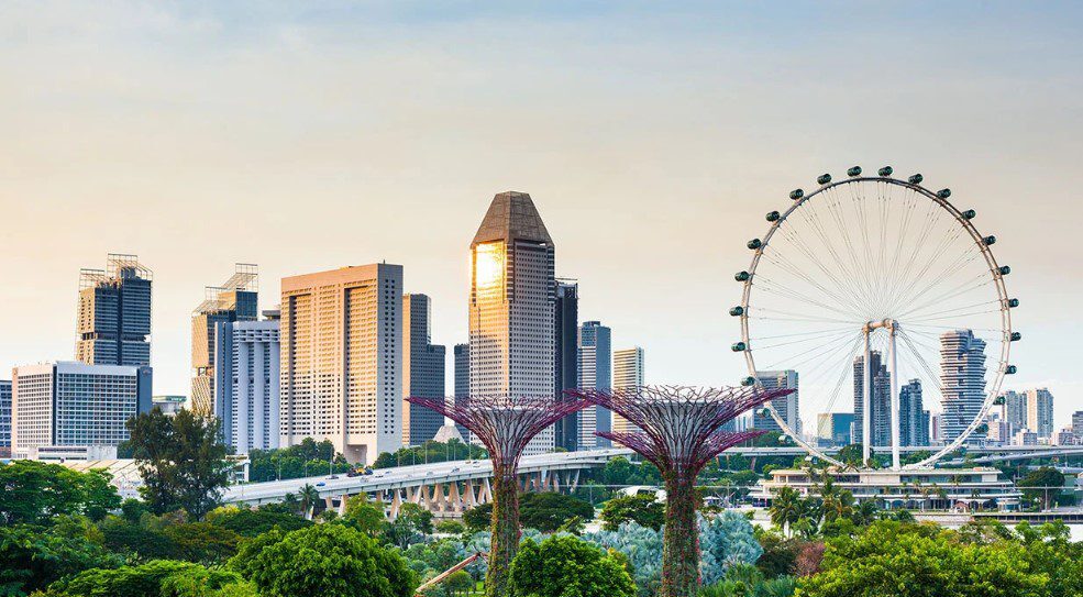 Can a city transform into a rainforest? Inside Singapore’s urban nature revolution