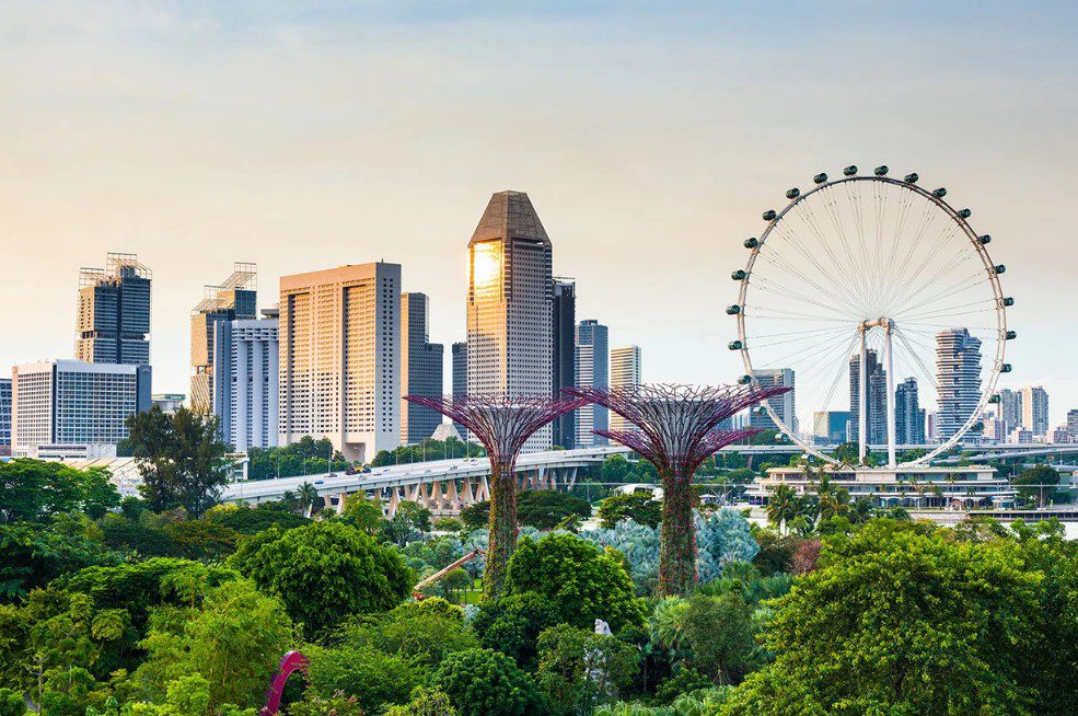 Can a city transform into a rainforest? Inside Singapore’s urban nature revolution