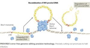 Precise genome editing technology to cure HIV_BPDM