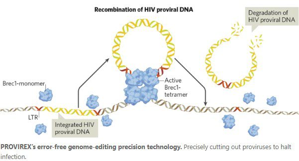 Beyond CRISPR: The precision tool that could finally cure HIV