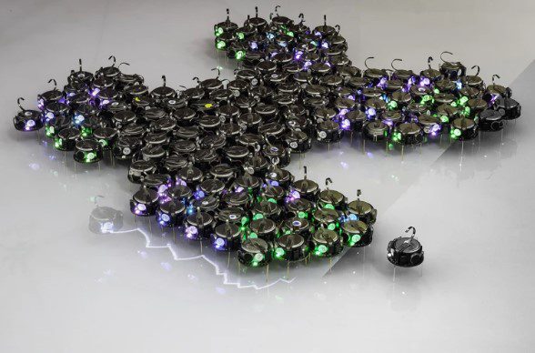 What biology can teach robots about working together