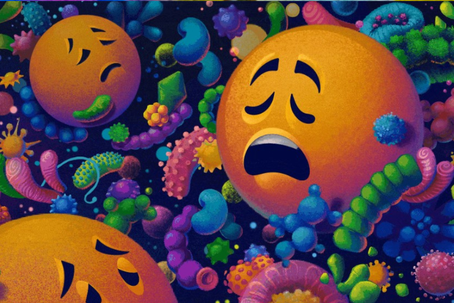 Can gut microbes help ease depression and anxiety?