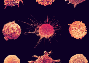 Nature Indext_Cancer_image