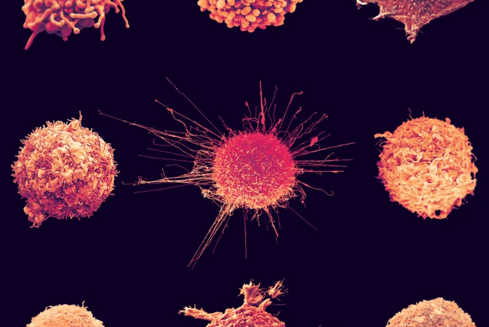 Cancer research at a global scale: Key findings from the new Nature Index supplement