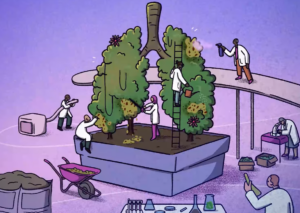 Nature Outlook_Lung Cancer_1