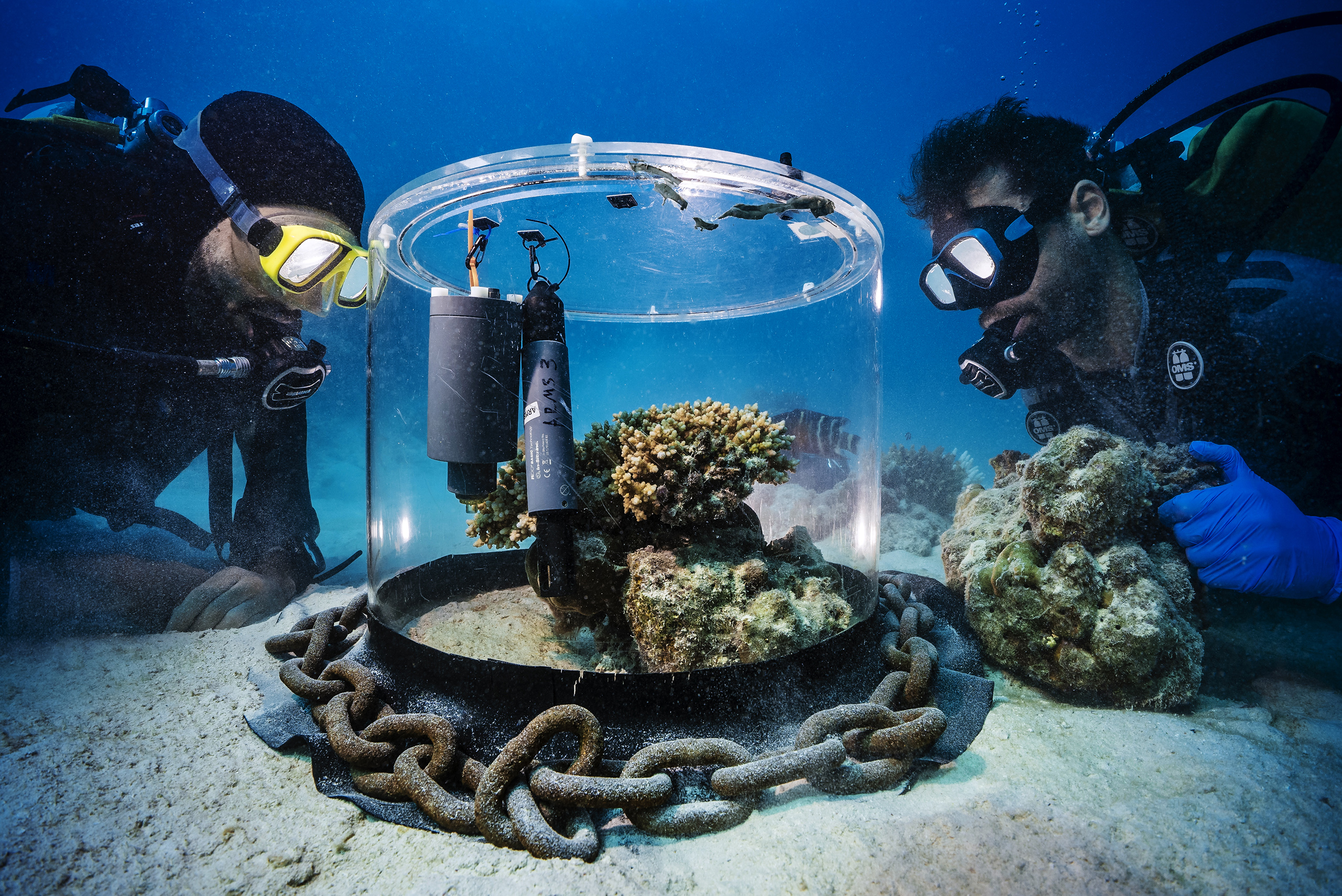 Nature-SAW2026-coral-village-CREDIT-Uli-Kunz
