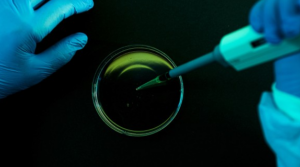 Nature Spotlight_Drug Discovery_Image