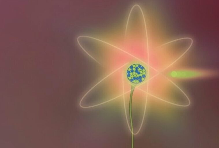 Nuclear power is having a moment, but can it fulfil its promise?
