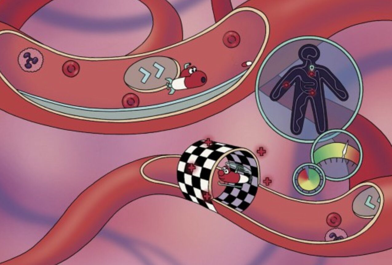 Could bacteria, nanoparticles and smart therapies revolutionise drug delivery?